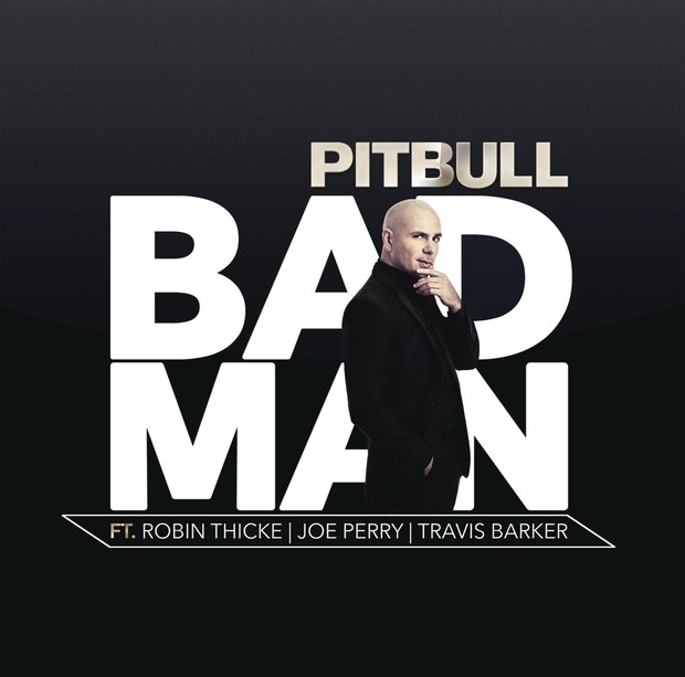 pitbull-bad-man